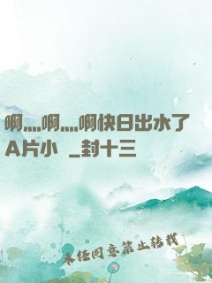 啊灬啊灬啊快日出水了A片小說