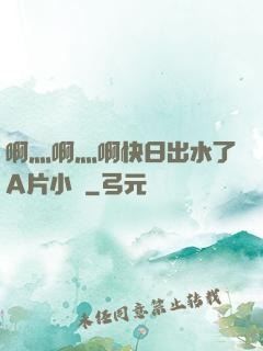 啊灬啊灬啊快日出水了A片小說
