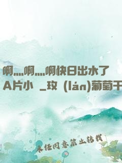 啊灬啊灬啊快日出水了A片小說