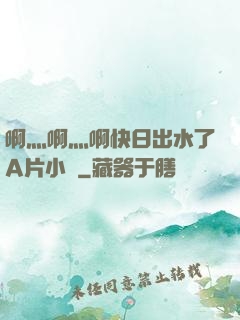 啊灬啊灬啊快日出水了A片小說