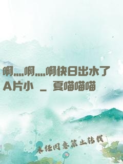 啊灬啊灬啊快日出水了A片小說