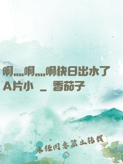 啊灬啊灬啊快日出水了A片小說