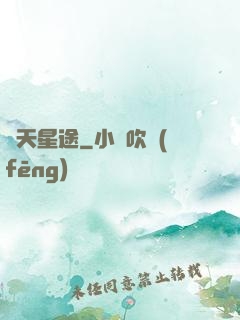 問天星途