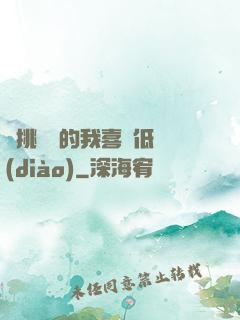 單挑艦隊的我喜歡低調(diào)