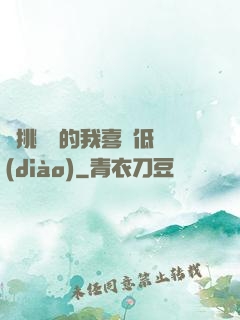 單挑艦隊的我喜歡低調(diào)