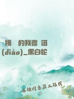 單挑艦隊的我喜歡低調(diào)
