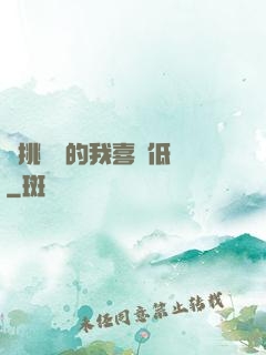 單挑艦隊的我喜歡低調