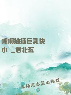 嗯啊抽插巨乳快點進來小說