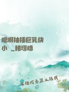 嗯啊抽插巨乳快點進來小說