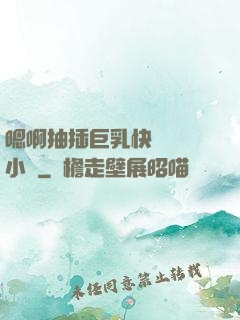 嗯啊抽插巨乳快點進來小說