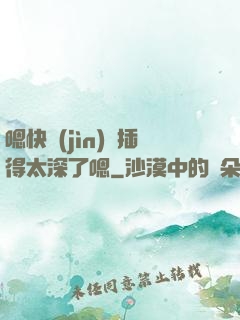 嗯快進(jìn)來插得太深了嗯