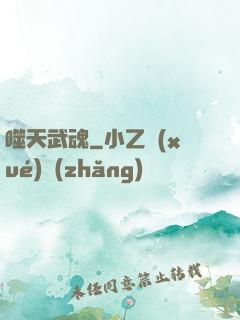 噬天武魂