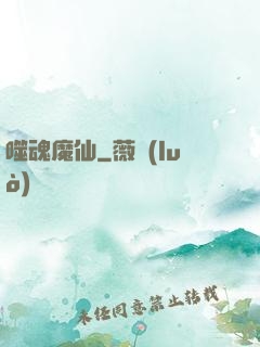 噬魂魔仙