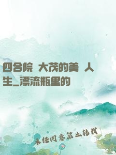 四合院許大茂的美麗人生