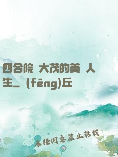 四合院許大茂的美麗人生