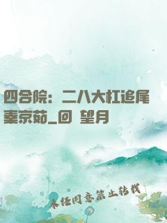 四合院：二八大杠追尾秦京茹