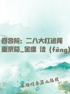 四合院：二八大杠追尾秦京茹