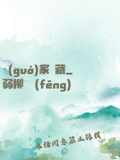 國(guó)家寶藏