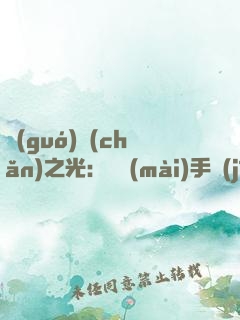 國(guó)產(chǎn)之光：從賣(mài)手機(jī)開(kāi)始