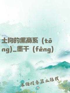 土狗的黑商系統(tǒng)