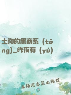 土狗的黑商系統(tǒng)
