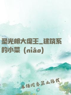 圣光明大魔王