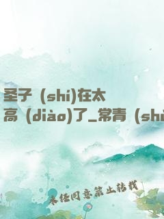 圣子實(shí)在太高調(diào)了