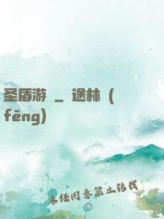 圣盾游戲