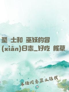 圣騎士和瘋巫妖的冒險(xiǎn)日志