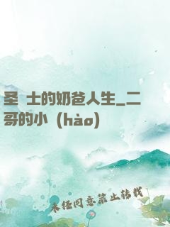 圣騎士的奶爸人生