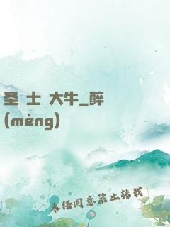 圣騎士趙大牛