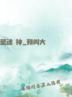 圣魂槍神