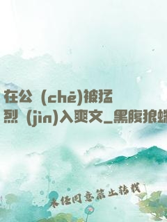 在公車(chē)被猛烈進(jìn)入爽文