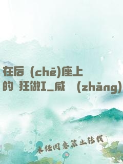 在后車(chē)座上的瘋狂做I