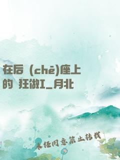 在后車(chē)座上的瘋狂做I