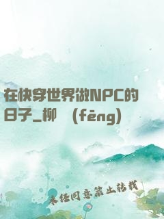 在快穿世界做NPC的日子