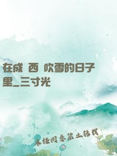 在成為西門吹雪的日子里