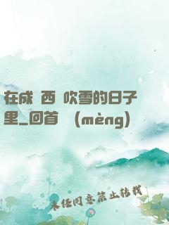 在成為西門吹雪的日子里