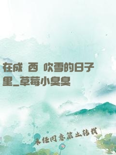 在成為西門吹雪的日子里