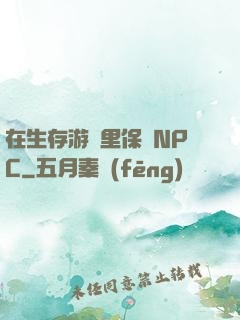 在生存游戲里保護NPC