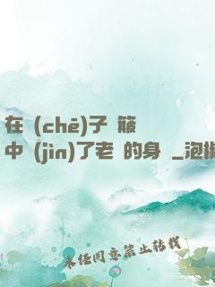在車(chē)子顛簸中進(jìn)了老師的身體
