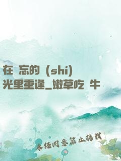 在遺忘的時(shí)光里重逢