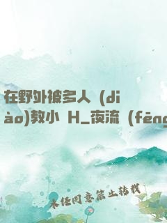 在野外被多人調(diào)教小說H