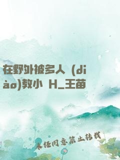 在野外被多人調(diào)教小說H