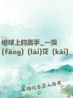 地球上的高手