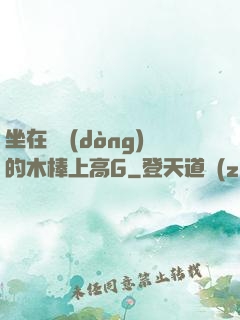 坐在電動(dòng)的木棒上高G