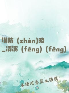 塔防戰(zhàn)略