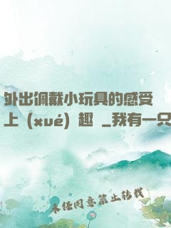 外出佩戴小玩具的感受上學(xué)筆趣閣