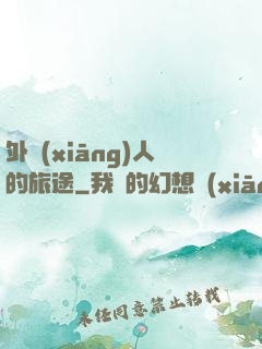 外鄉(xiāng)人的旅途