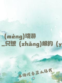 夢(mèng)境游戲